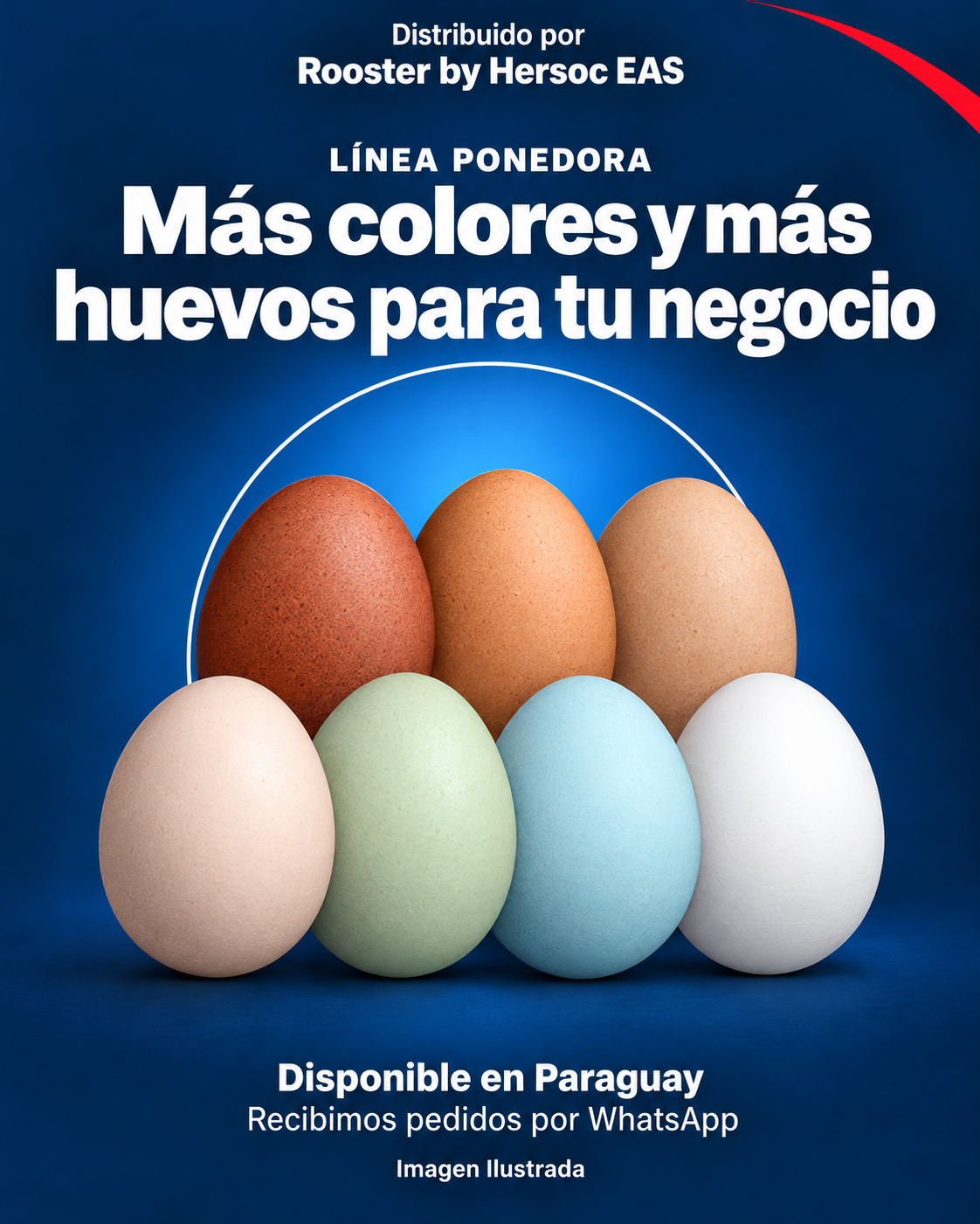 Huevos de distintas tonalidades: marrón, crema, verde, azul y blanco